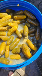 Predám kyslú kapustu, šťavu z kyslej kapusty a zeleninu  – fotka 2